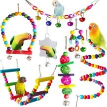 7pcs Bird toys